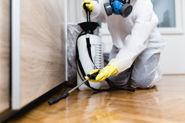 Insect Control in Elgin, TX
