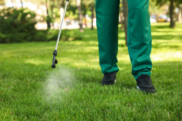 Insect Control in Elgin, TX