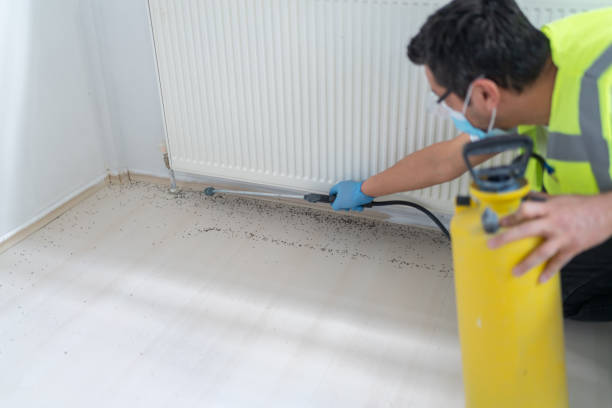 Best Pest Inspection Near Me  in Elgin, TX